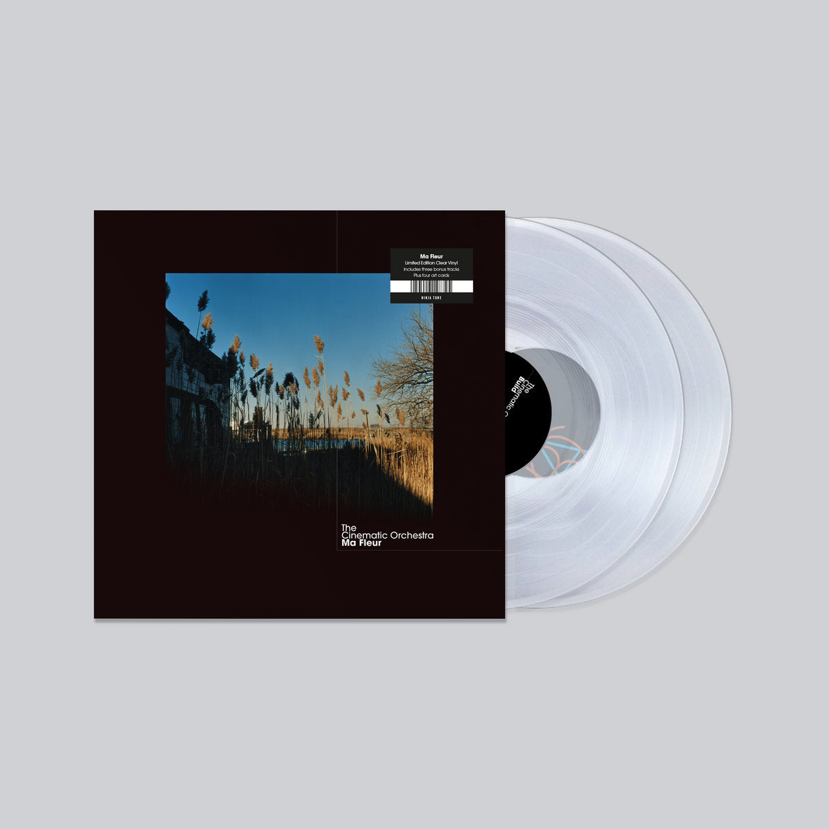 The Cinematic Orchestra – Ma Fleur