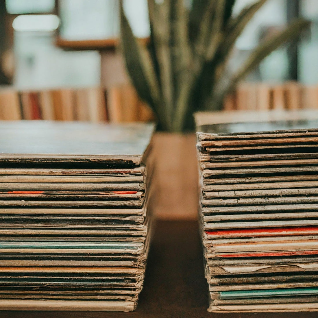 Vinyl Revival: The Warmth of New Records at Bantu Records