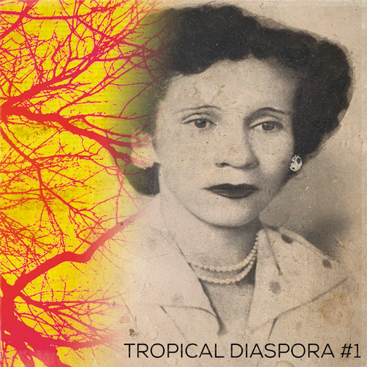 Various – Tropical Diaspora #1