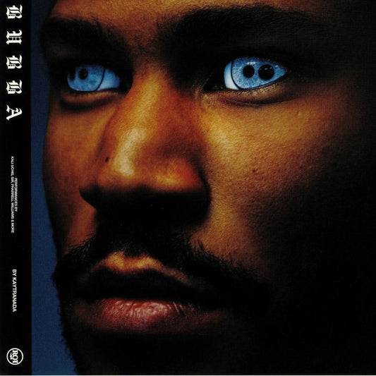 Kaytranada – Bubba [2xLP]