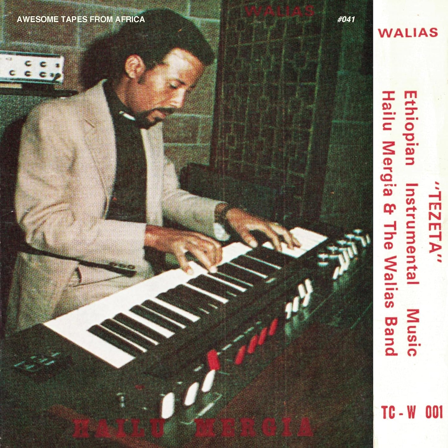 Hailu Mergia and the Walias Band - Tezeta