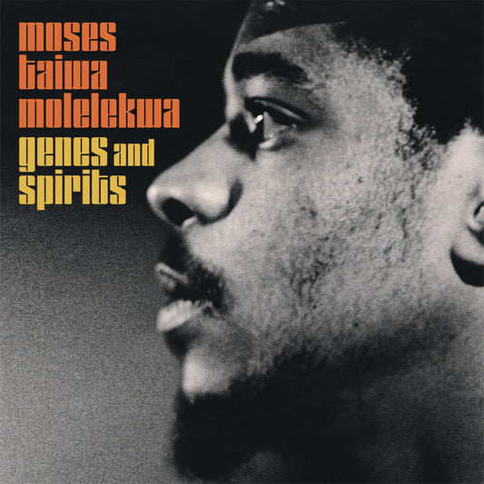 Moses Taiwa Molelekwa – Genes and Spirits