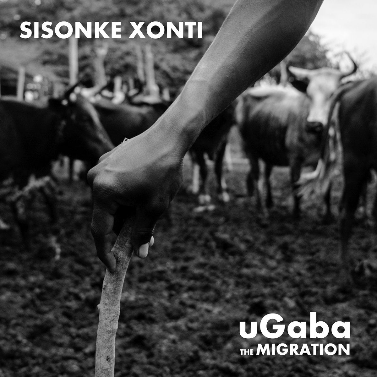 Sisonke Xonti – uGaba The Migration